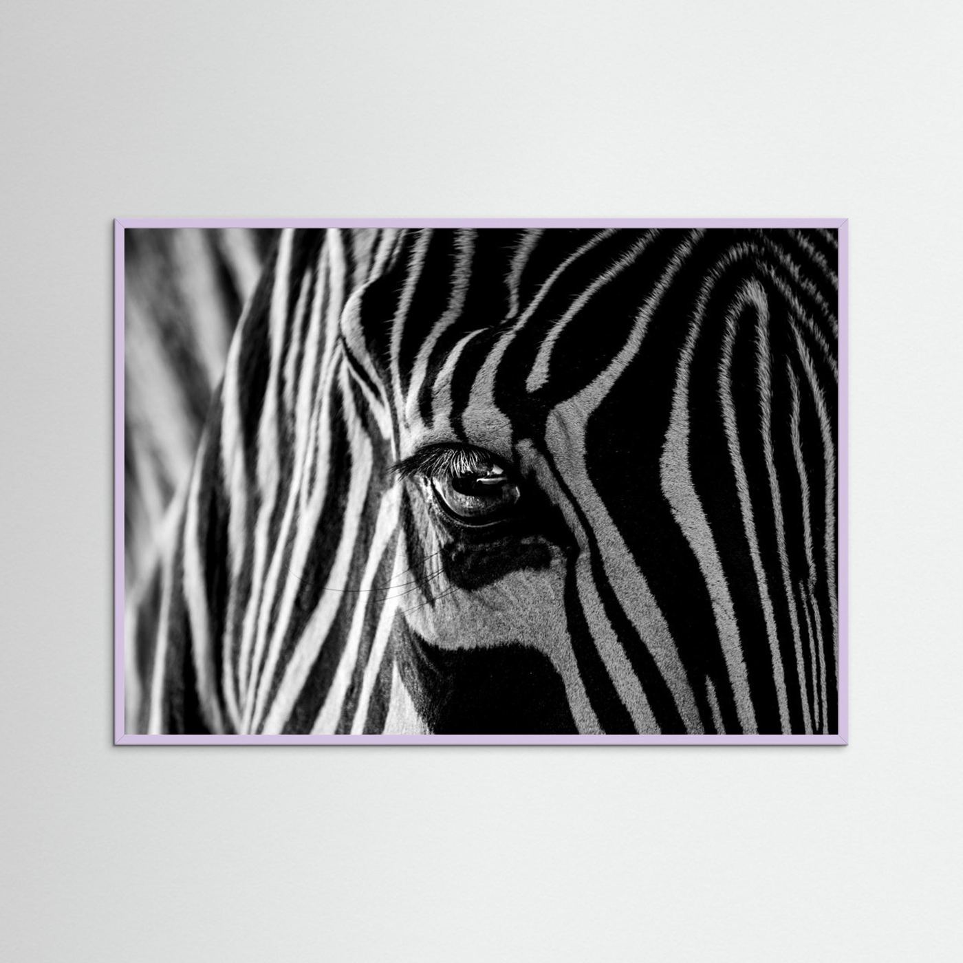 Abstract Zebra by Roy Darnell