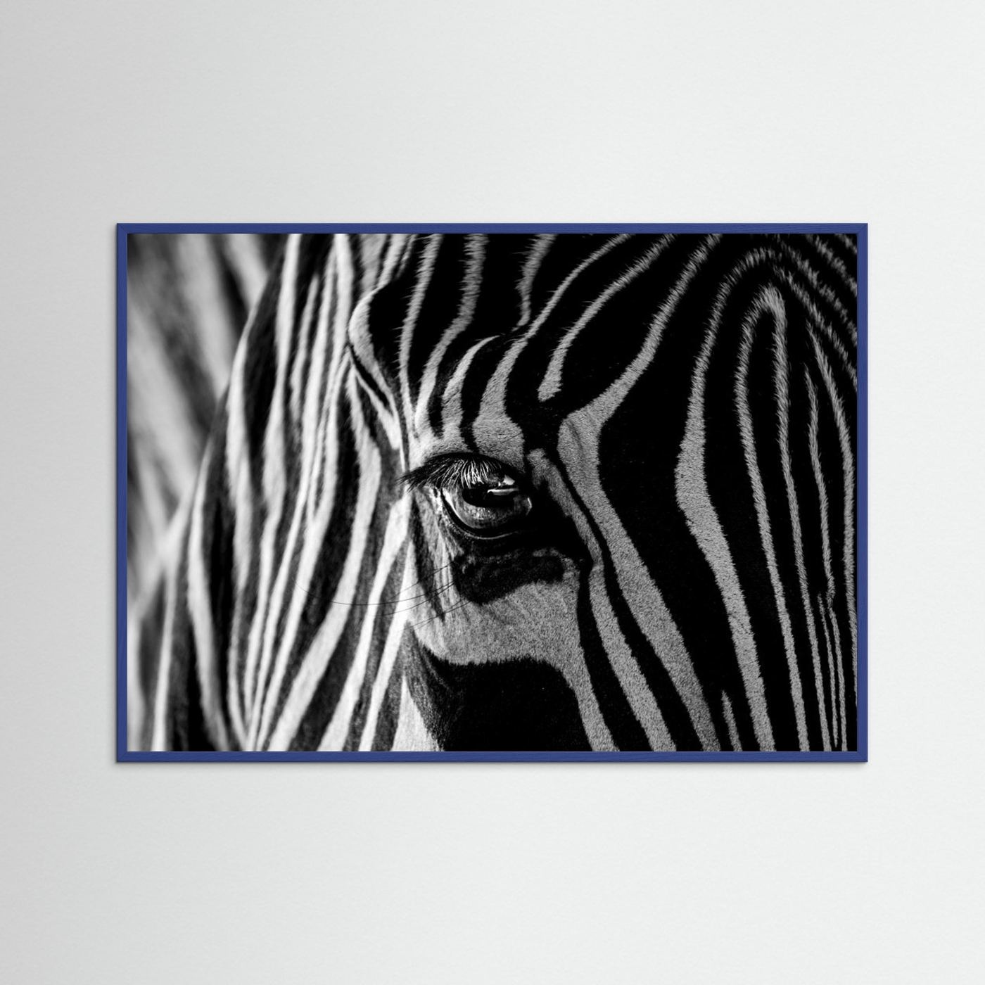 Abstract Zebra by Roy Darnell