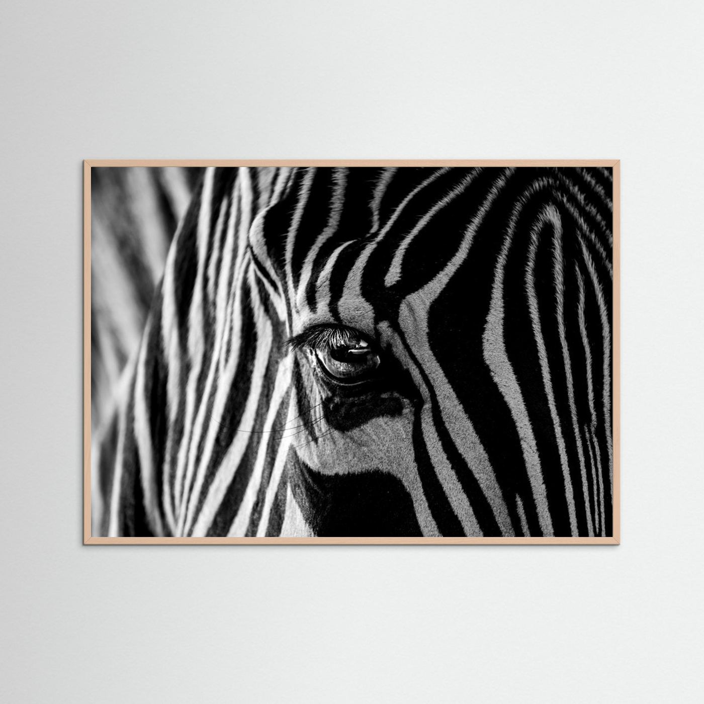 Abstract Zebra by Roy Darnell