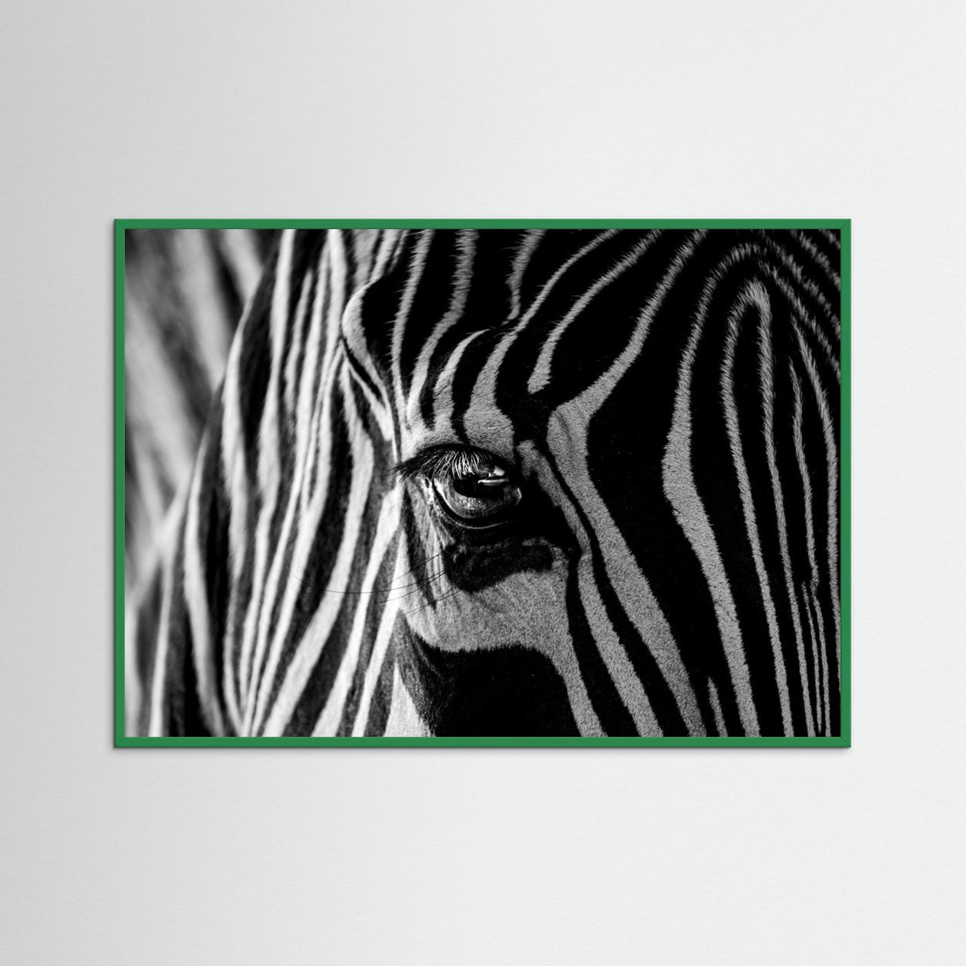 Abstract Zebra by Roy Darnell