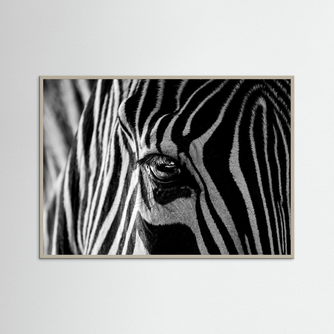 Abstract Zebra by Roy Darnell
