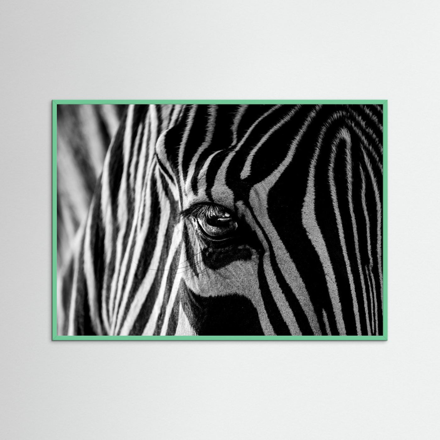 Abstract Zebra by Roy Darnell