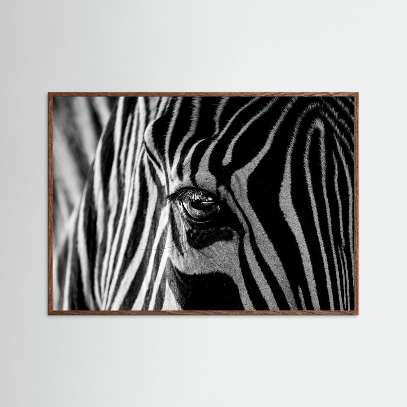 Abstract Zebra by Roy Darnell