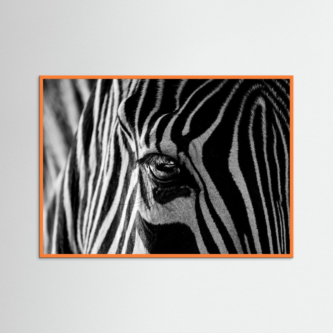 Abstract Zebra by Roy Darnell