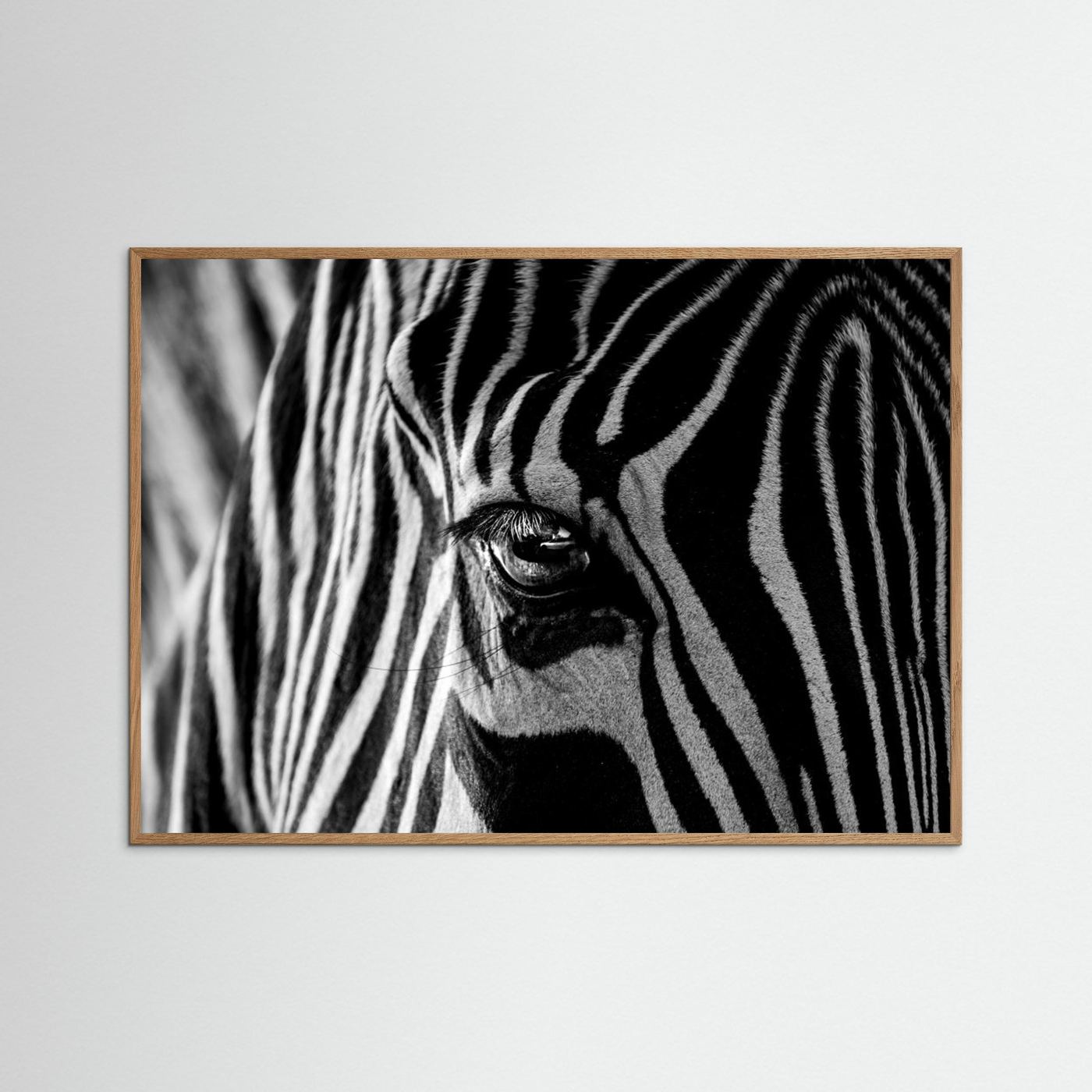 Abstract Zebra by Roy Darnell
