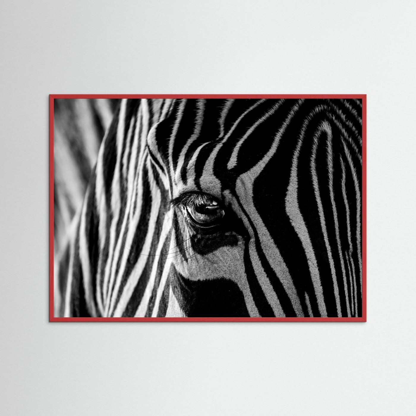 Abstract Zebra by Roy Darnell