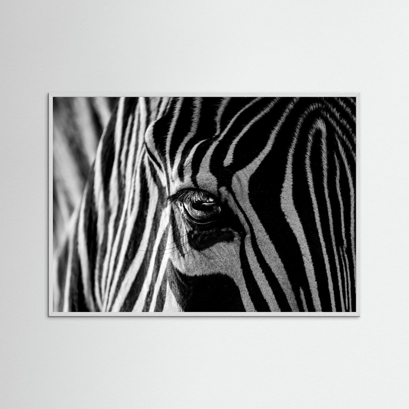 Abstract Zebra by Roy Darnell