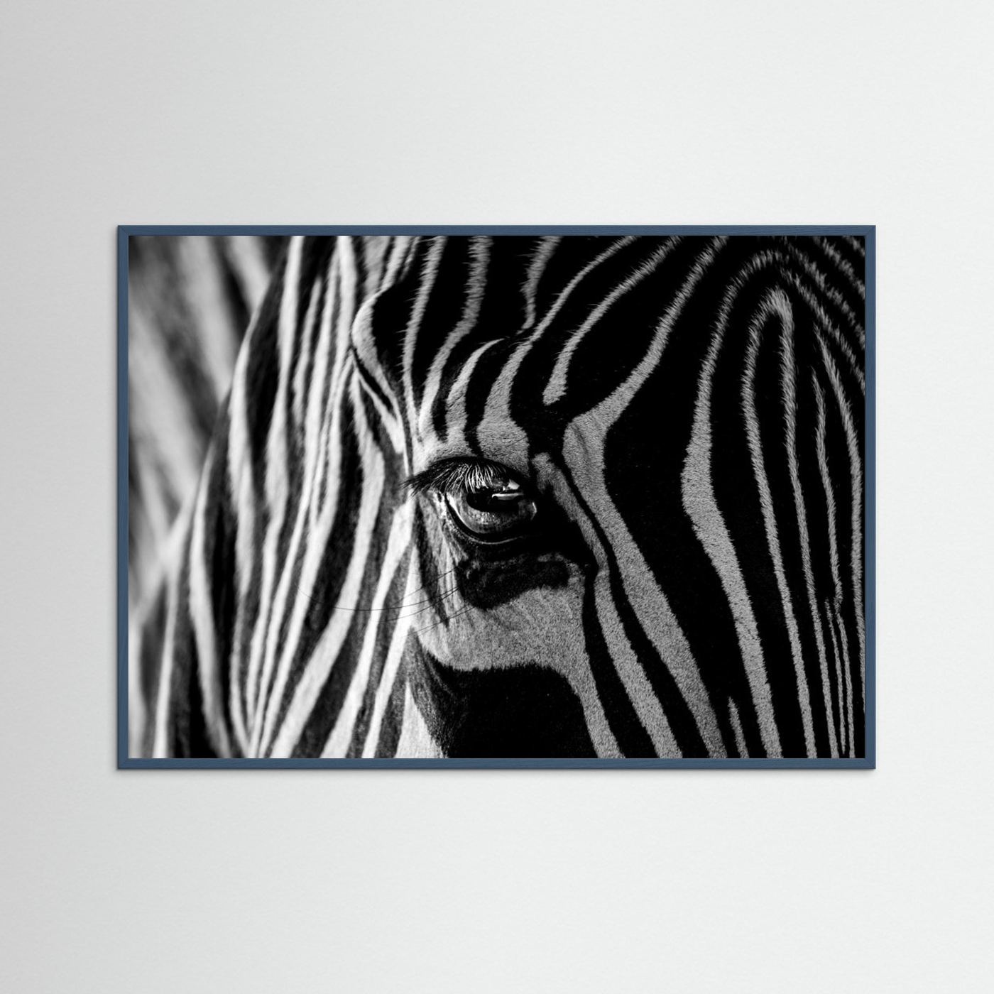 Abstract Zebra by Roy Darnell
