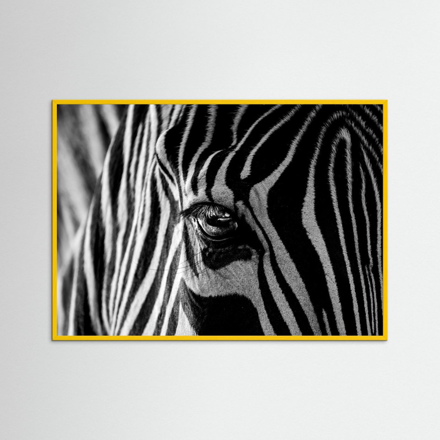 Abstract Zebra by Roy Darnell